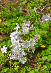 Similar image 21809214