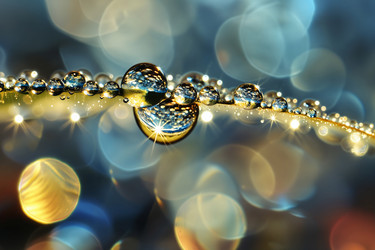 Similar image 21809837