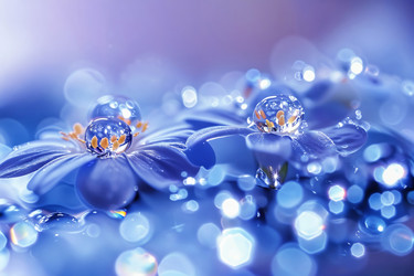 Similar image 21809839