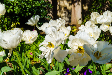 Similar image 21813118