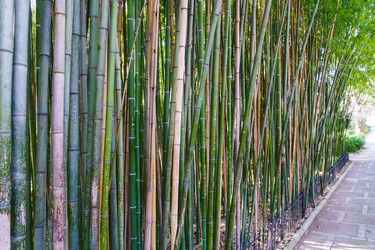 Similar image 21813121