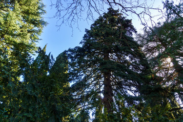 Similar image 21813122