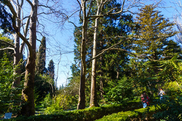 Similar image 21814289