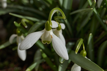 Similar image 21809423