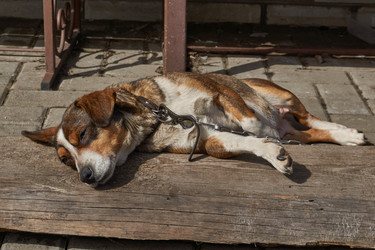 Similar image 21809429