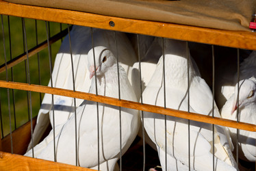 Similar image 21812833