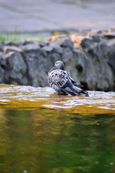 Similar image 21812405