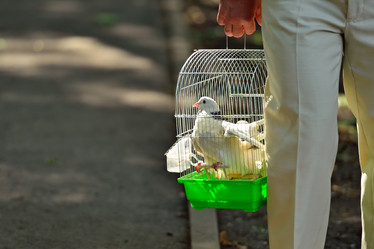 Similar image 21812834