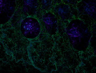 Similar image 21810882