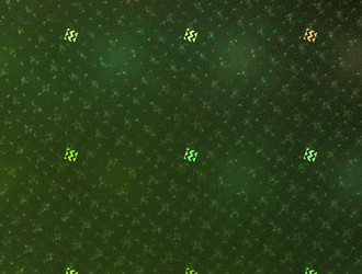 Similar image 21811405