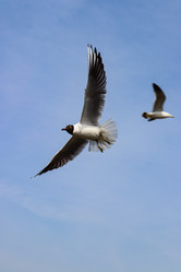 Similar image 21812222