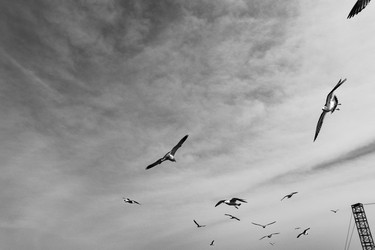 Similar image 21812223