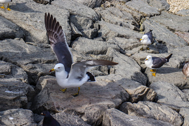 Similar image 21812224