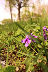 Similar image 21812225