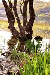 Similar image 21812227