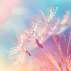 Similar image 21811610