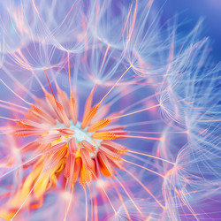 Similar image 21811618