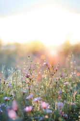 Similar image 21811623