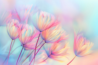 Similar image 21811625