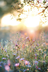 Similar image 21811627