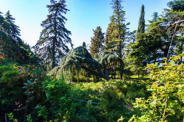 Similar image 21814291