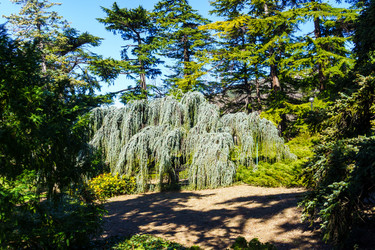 Similar image 21814292