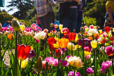 Similar image 21814293