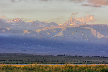 Similar image 21812474