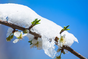 Similar image 21812476