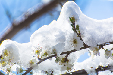 Similar image 21812478