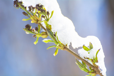 Similar image 21812480