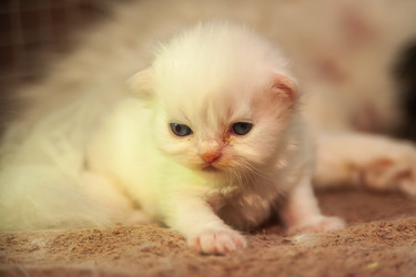 Similar image 21812552