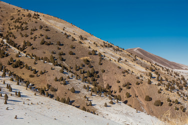 Similar image 21812560