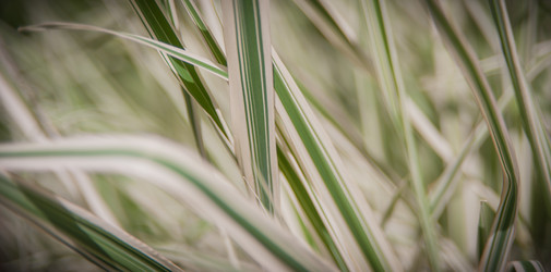 Similar image 21812561