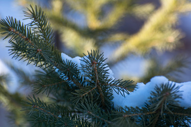 Similar image 21812568