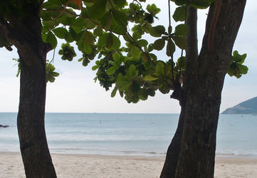 Similar image 21809869