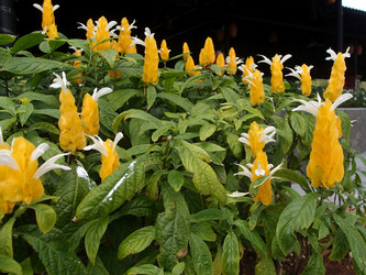 Similar image 21809870