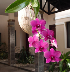 Similar image 21809874