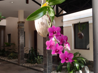 Similar image 21809876