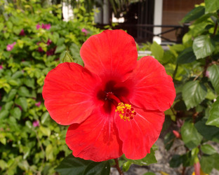 Similar image 21809881