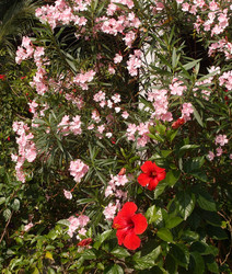 Similar image 21809882