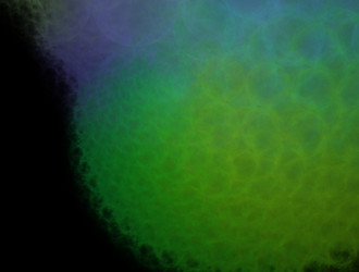 Similar image 21811429