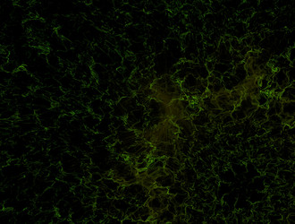 Similar image 21813008