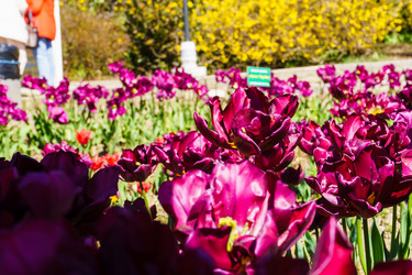 Similar image 21814296