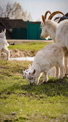 Similar image 21811516