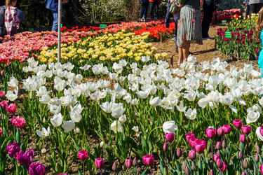 Similar image 21814297