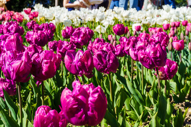 Similar image 21814298