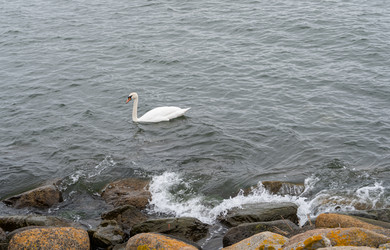 Similar image 21812229