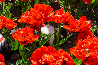 Similar image 21814299