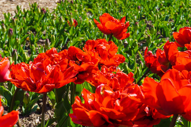 Similar image 21814300